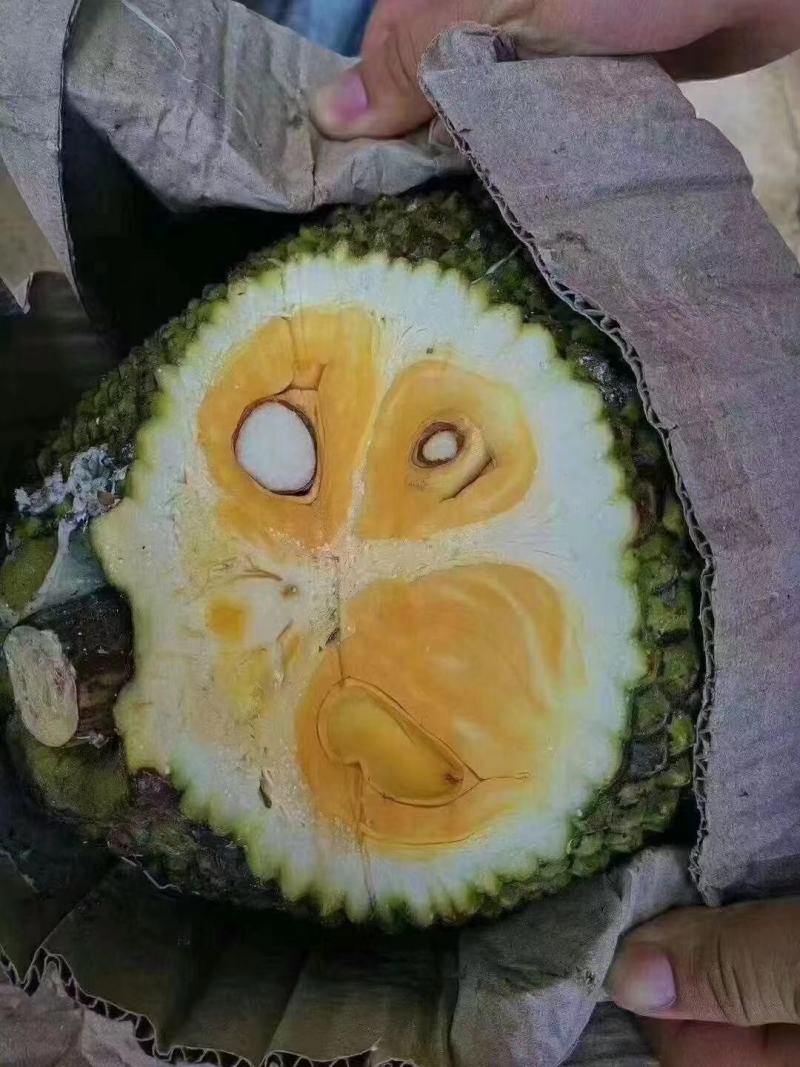 越南优质菠萝蜜青皮大黄肉质量稳定支持全国发货...