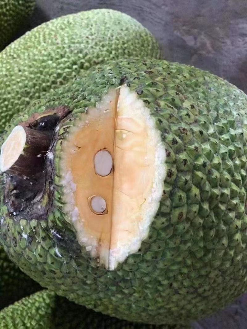 越南优质菠萝蜜青皮大黄肉质量稳定支持全国发货...