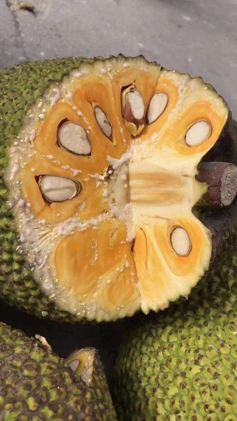 越南优质菠萝蜜青皮大黄肉质量稳定支持全国发货...