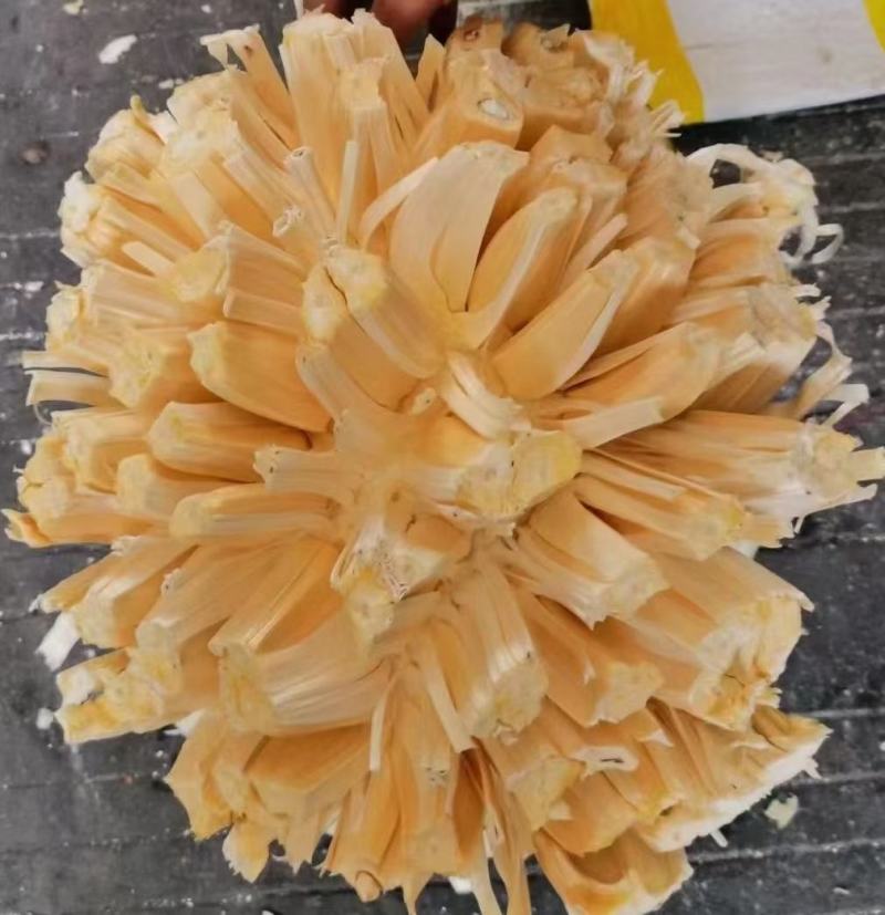 越南优质菠萝蜜青皮大黄肉质量稳定支持全国发货...