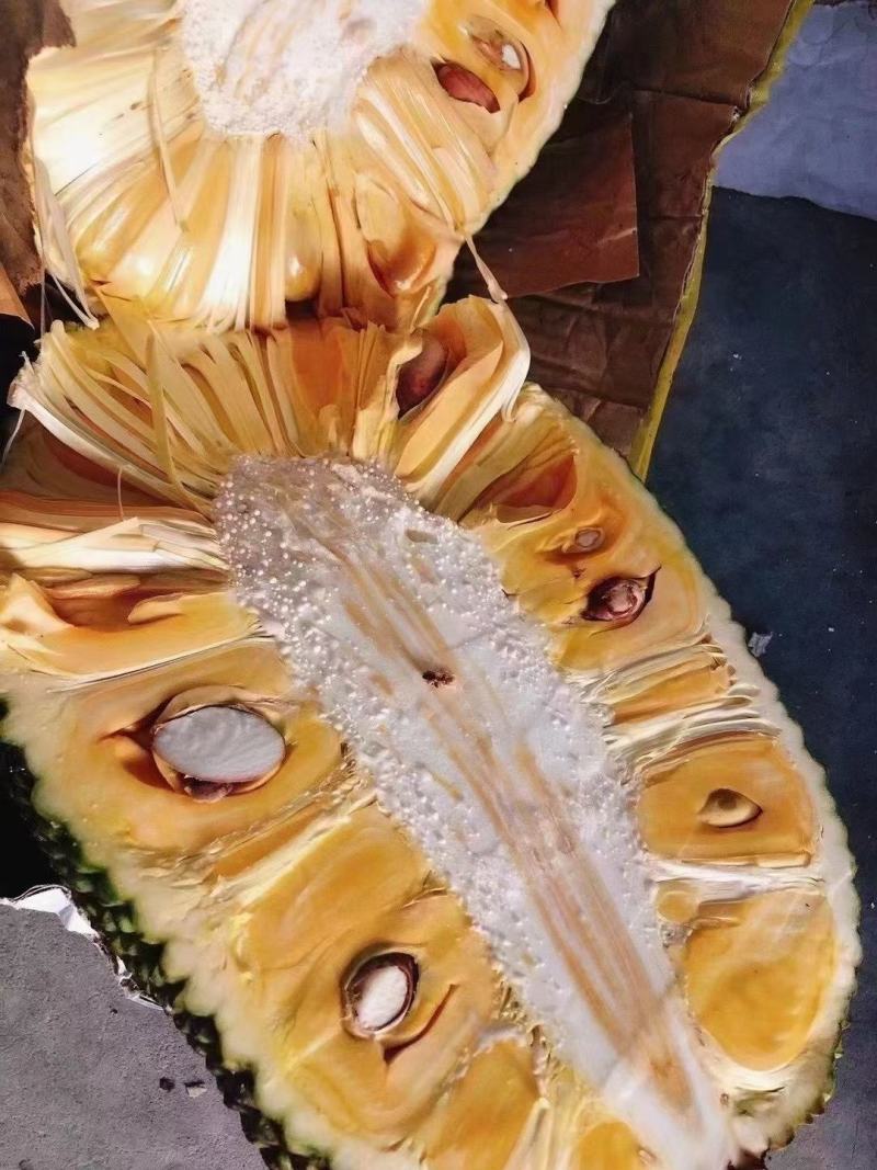 越南优质菠萝蜜青皮大黄肉质量稳定支持全国发货...