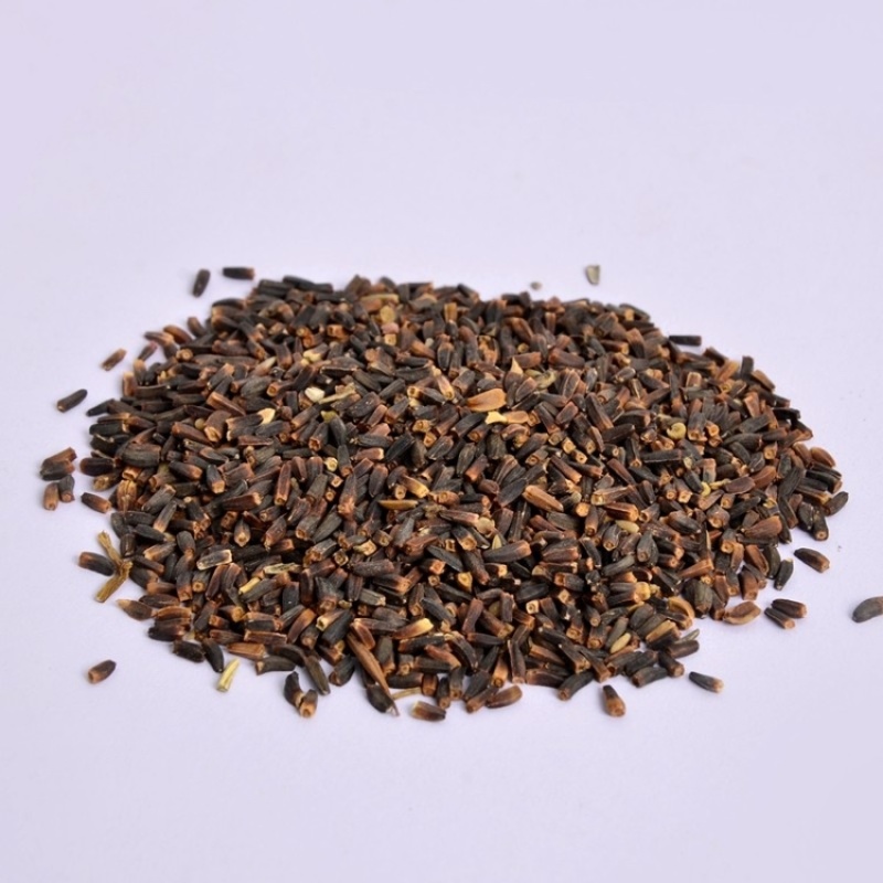 堆心菊种子花籽易种植的花籽金黄色花海花卉小菊花种子阳台盆