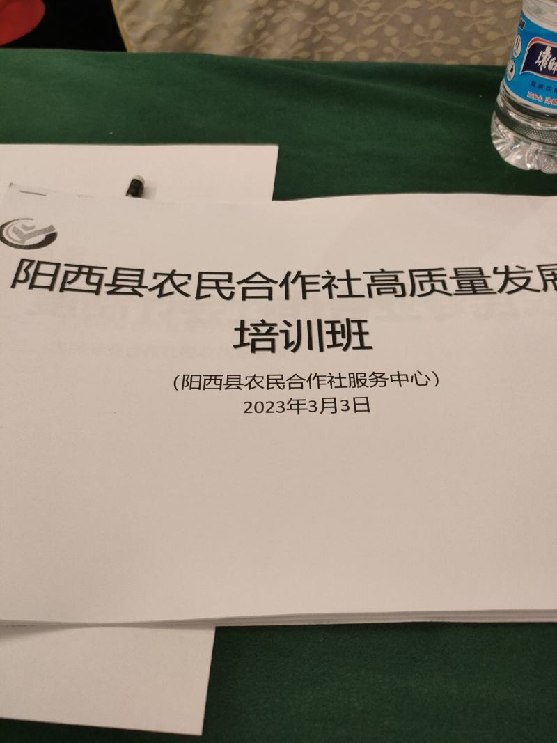 妃子笑荔枝大量上市阳西县丰茂种养专业合作