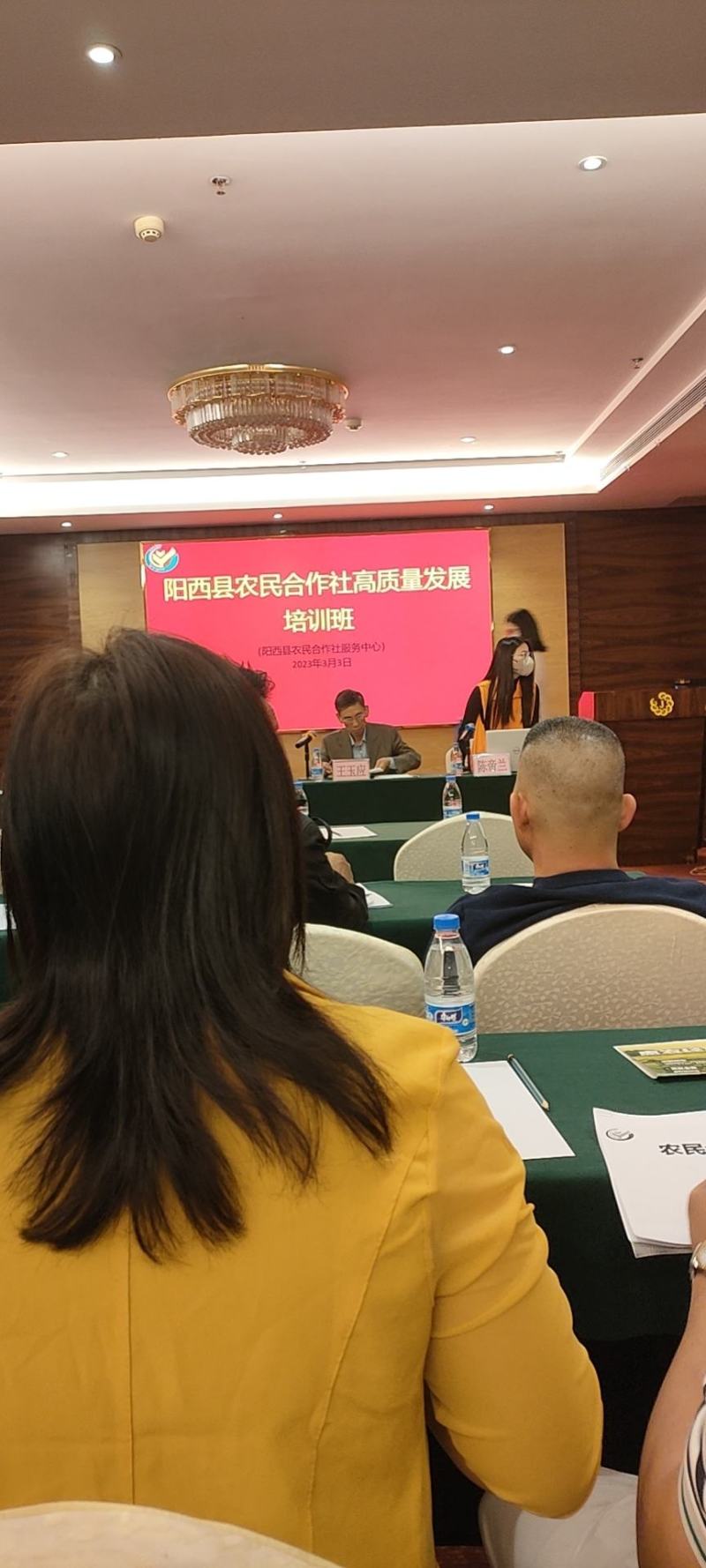 妃子笑荔枝大量上市阳西县丰茂种养专业合作