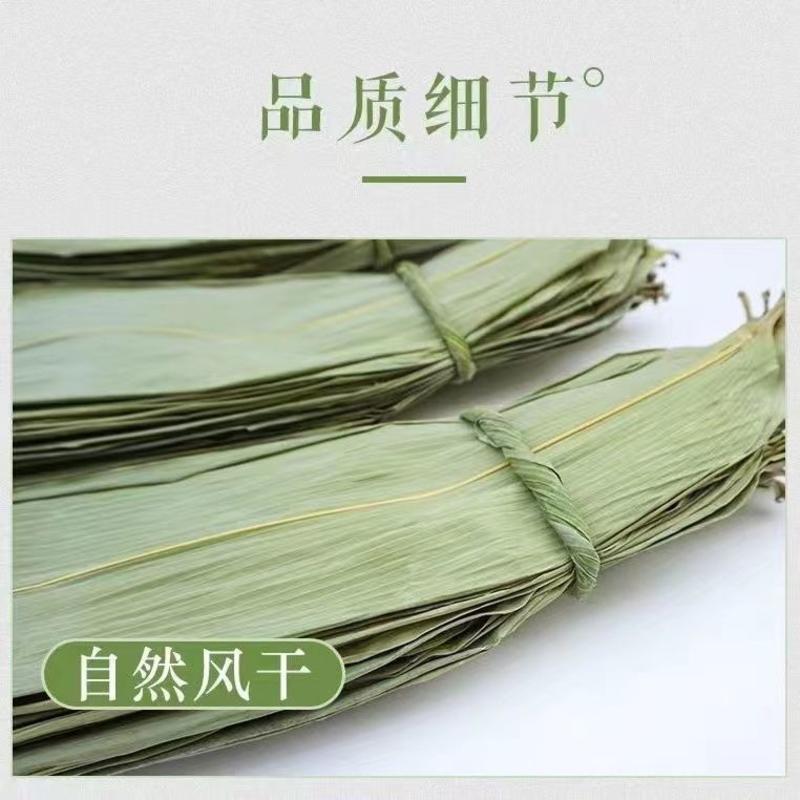 大叶干粽叶大号天然晒干米粽叶箬叶包粽子的粽叶子批发供平台