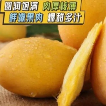 （热销）广西田阳台农芒，一手货源，诚信代办支持电商批发商