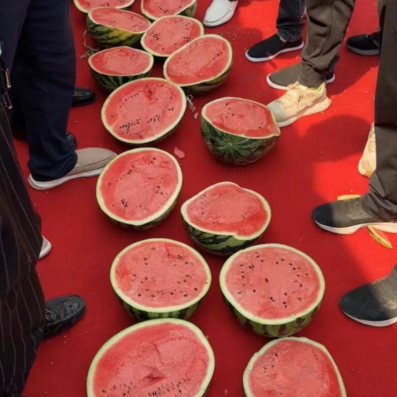 精品甜王，大量上市，产地直发，保证质量