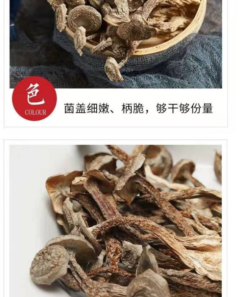 鹿茸菇一件代发品质优先假一赔十优质商家