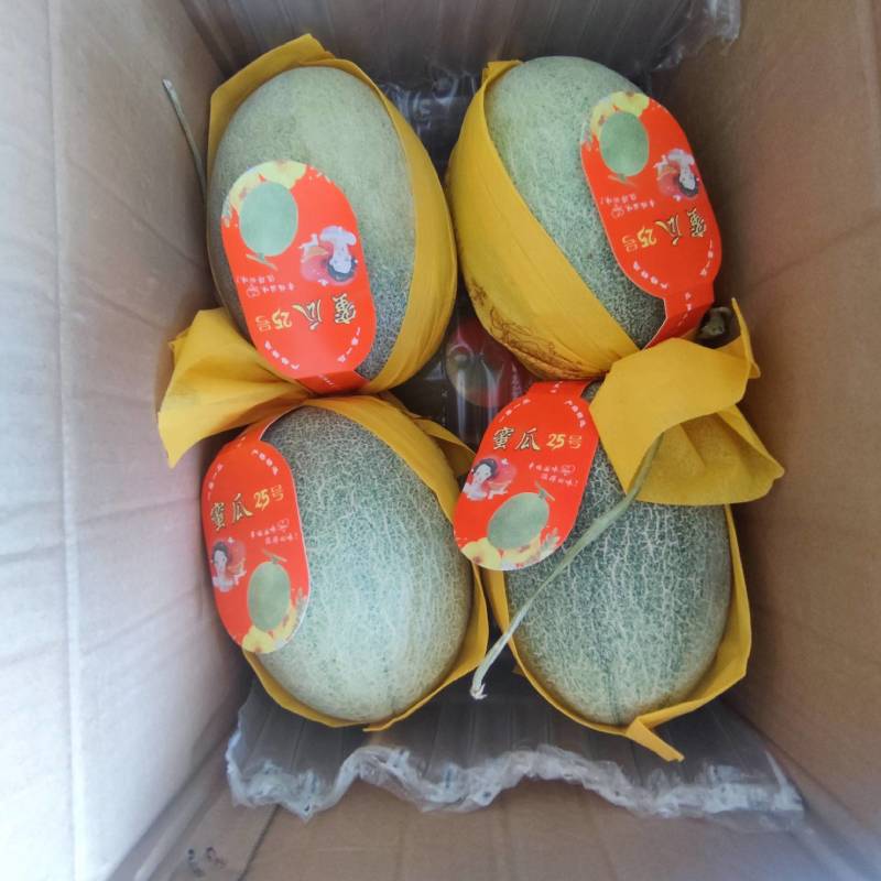 （热销）海南精品海沙25号晓蜜，对接各大市场，商超，社区