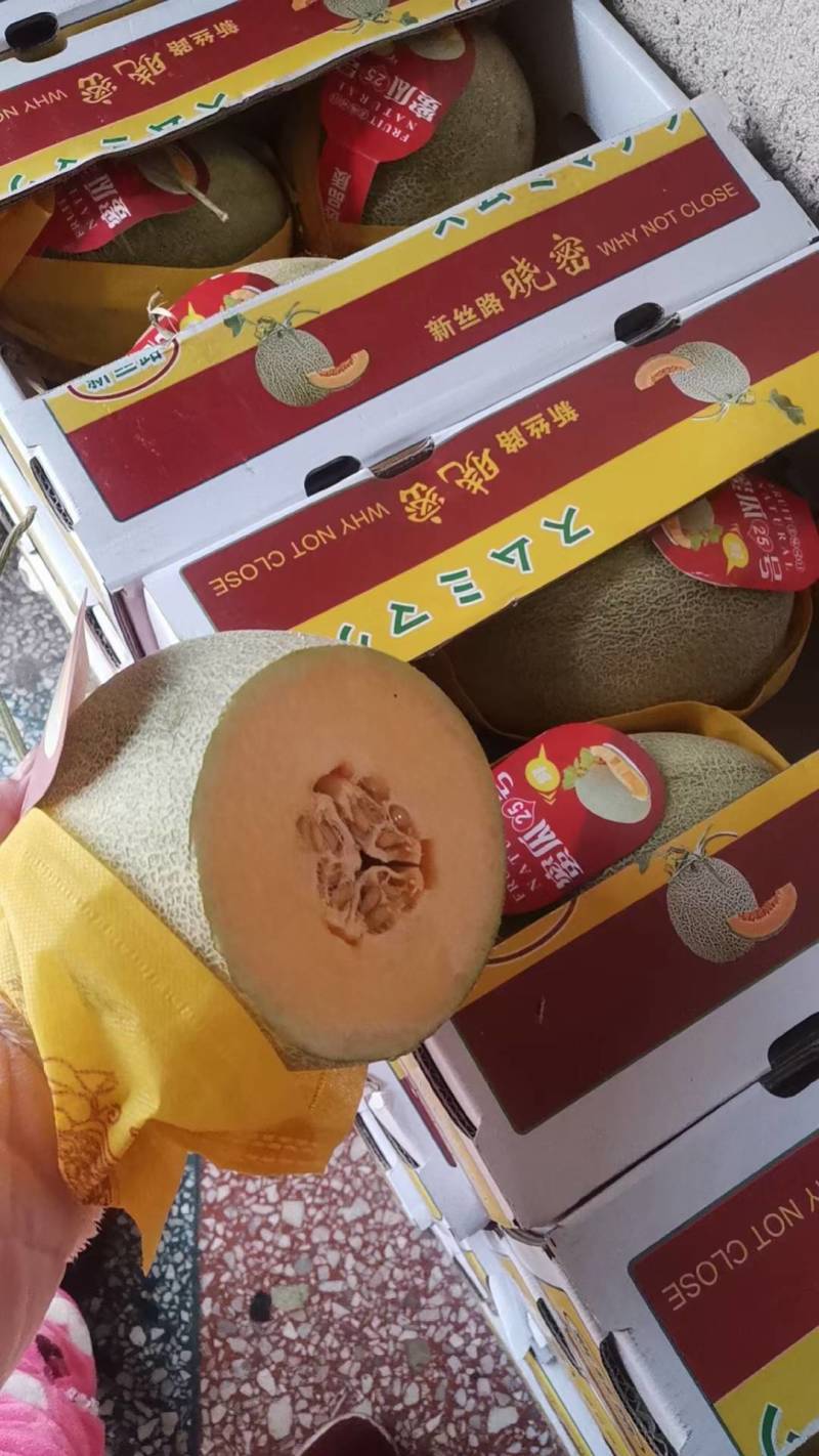 （热销）海南精品海沙25号晓蜜，对接各大市场，商超，社区