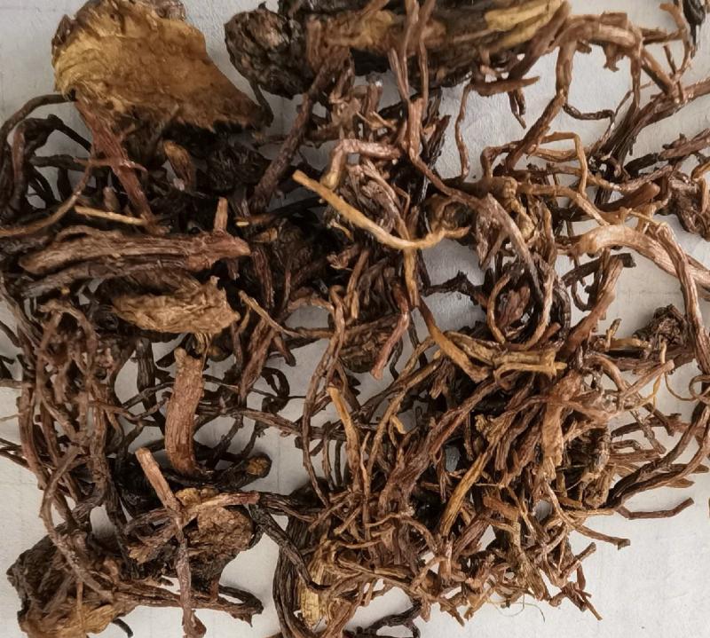 蜜紫苑振兴药材批发供应产地安徽量大从优