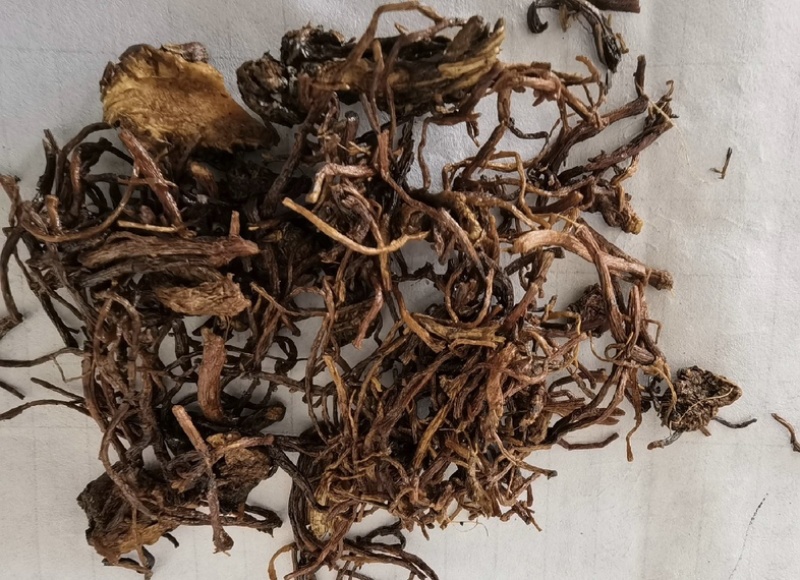 蜜紫苑振兴药材批发供应产地安徽量大从优