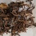 蜜紫苑振兴药材批发供应产地安徽量大从优