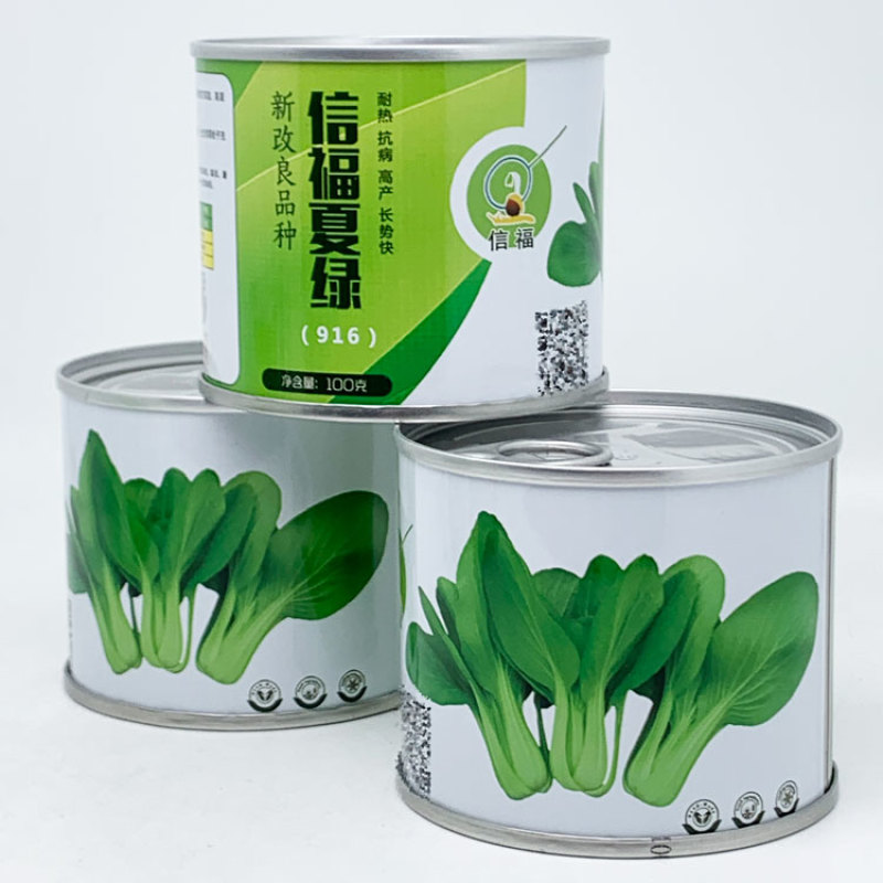信福夏绿青梗菜青菜种子耐热耐湿油亮不拔节上海青种100克