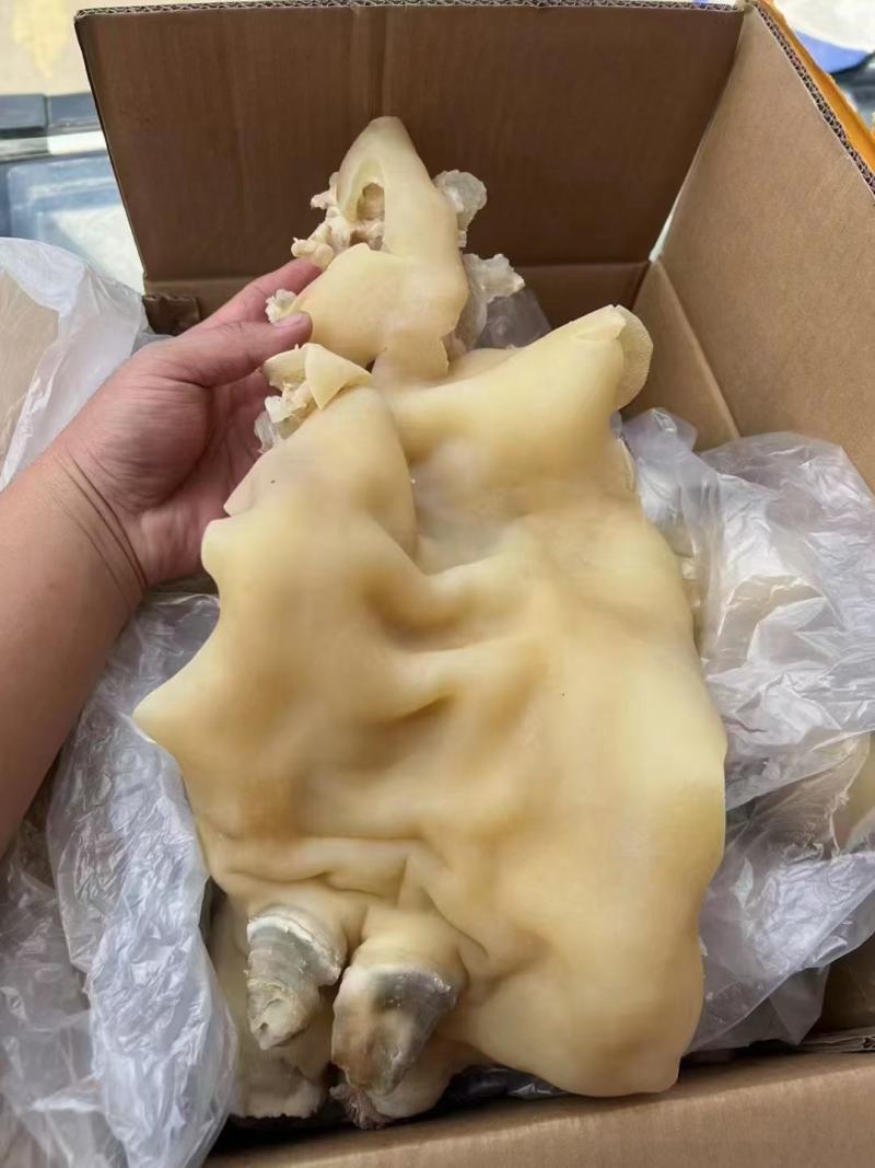 去骨带筋牛蹄真空包装卤菜店夜市牛蹄跑江湖地摊冷冻原味批发