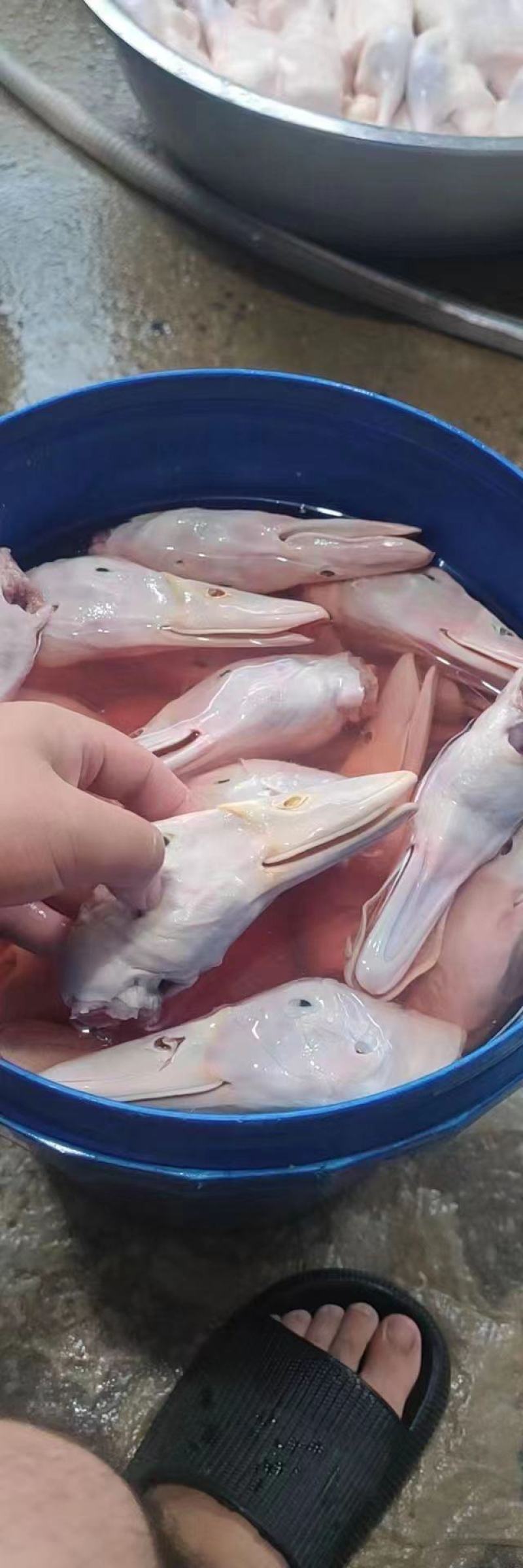 精品鸭头白条鸭头卤货加工厂专用长期有货质量保证