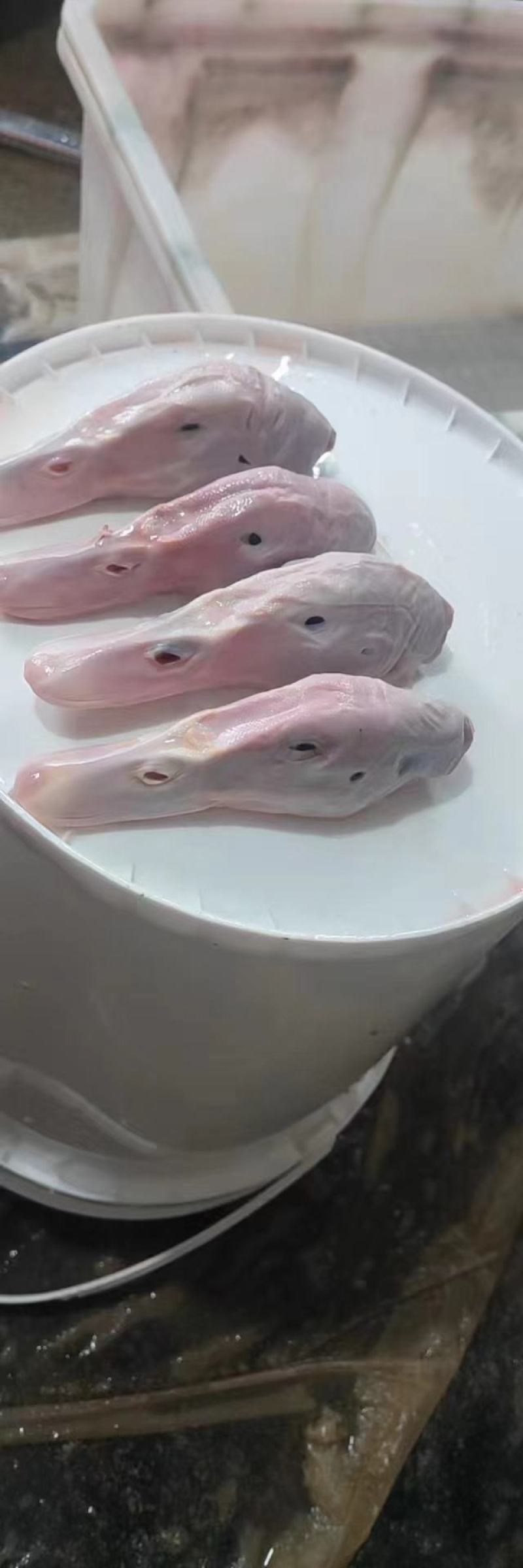 精品鸭头白条鸭头卤货加工厂专用长期有货质量保证