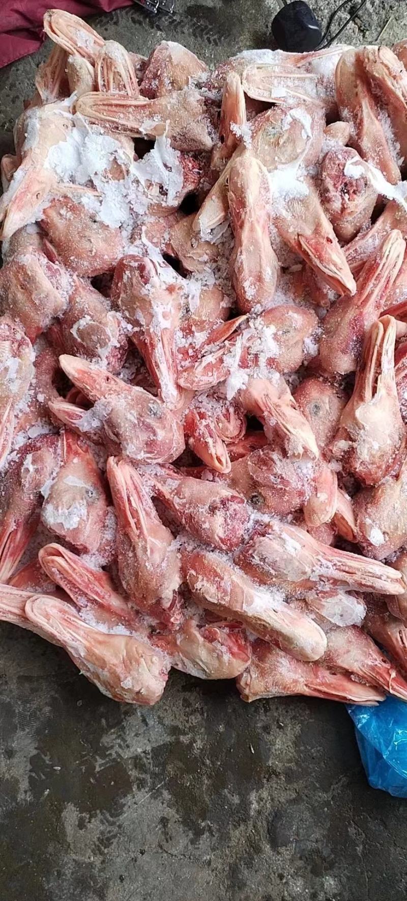 精品鸭头白条鸭头卤货加工厂专用长期有货质量保证
