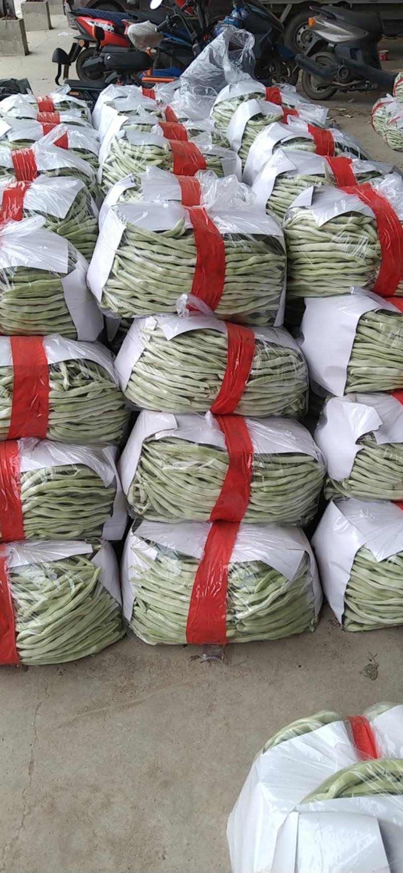白条豆角，条长！肉厚口感好！种植面积广大！货源充足