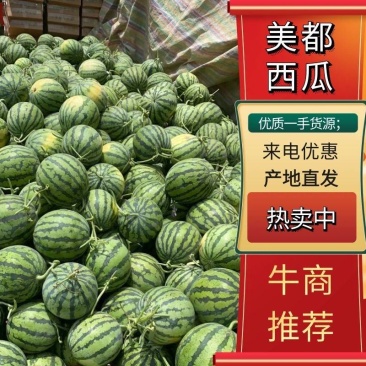 【优选】河南商丘睢县麒麟西瓜美都西瓜8424西瓜