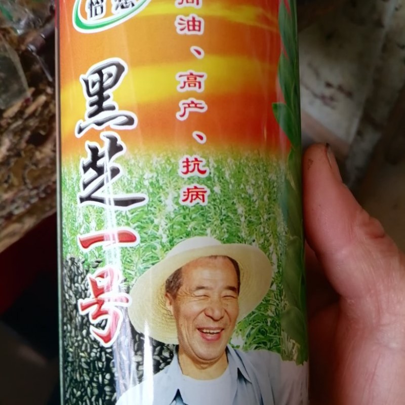 黑芝麻一号，高油，高产，抗病、