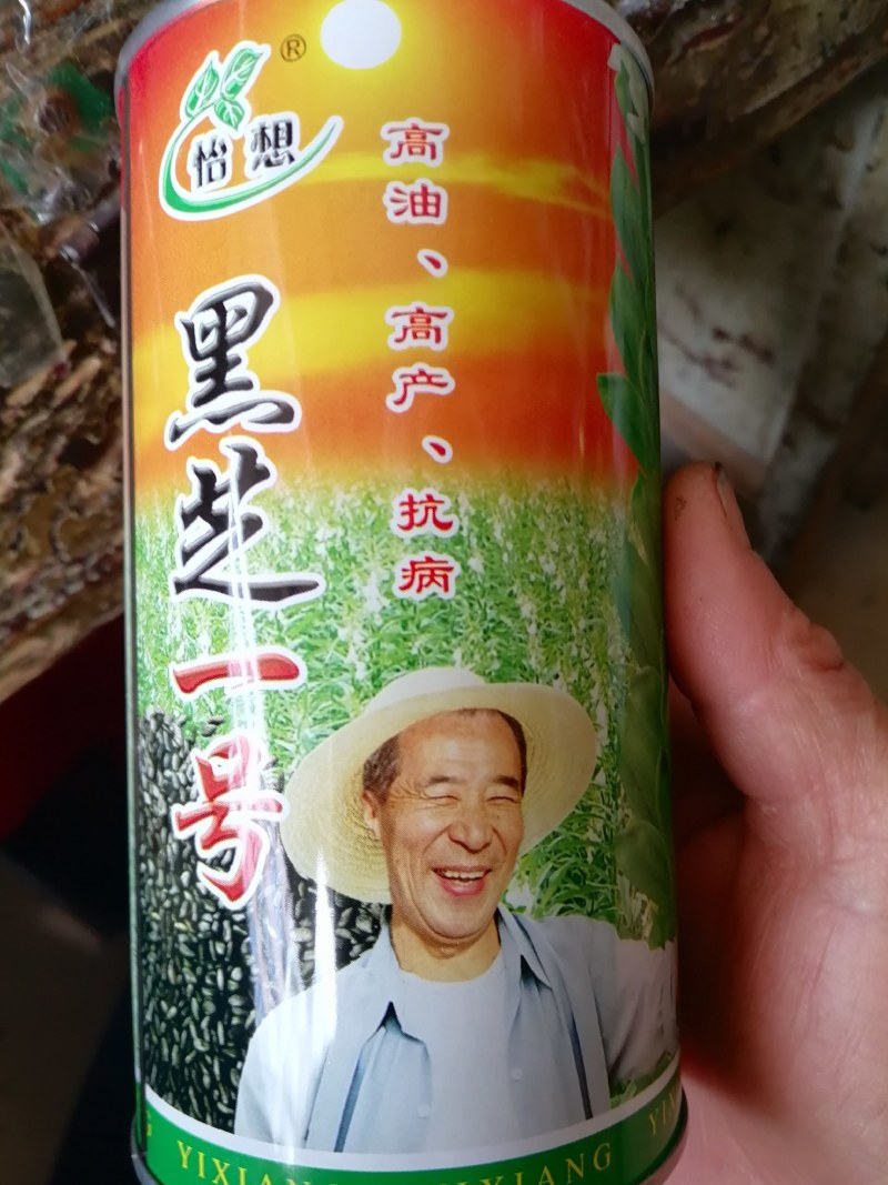 黑芝麻一号，高油，高产，抗病、
