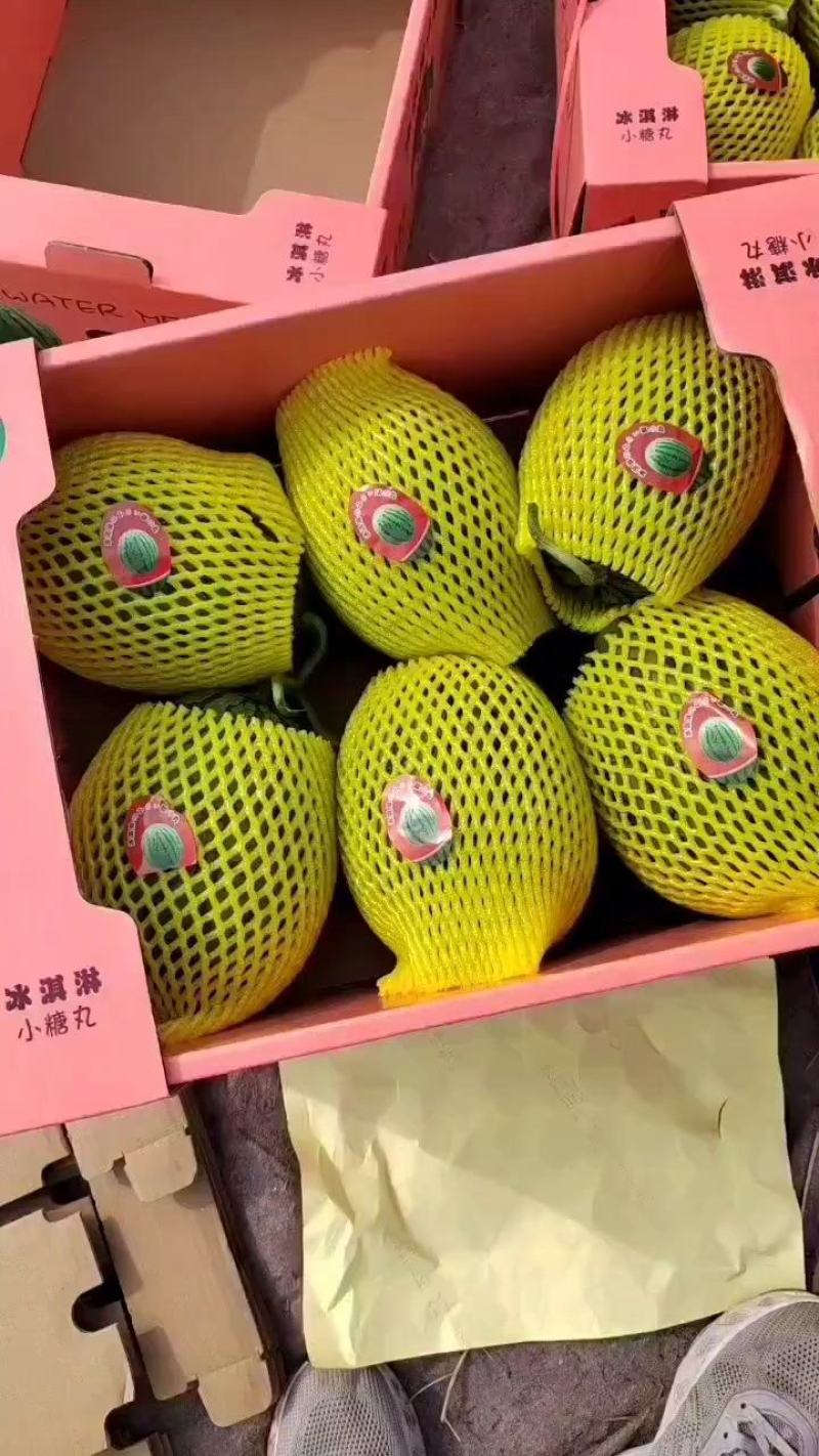 小糖丸产地直供包熟包甜包售后代发全国小糖丸西瓜