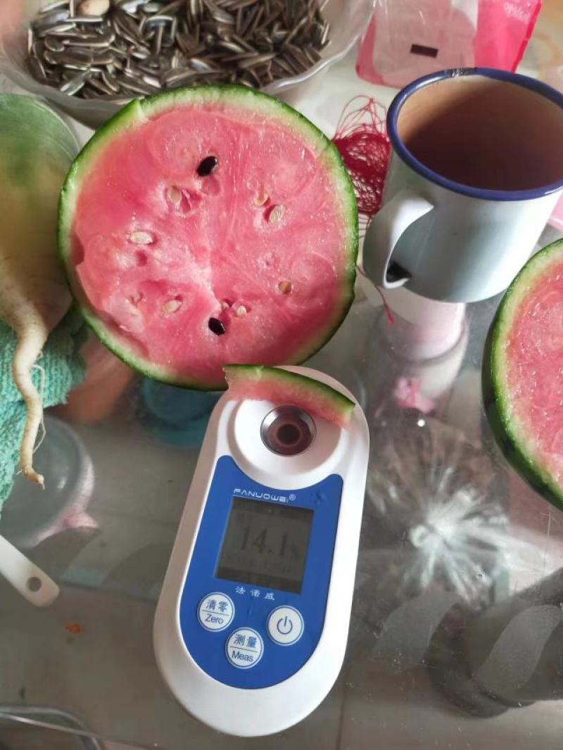 小糖丸产地直供包熟包甜包售后代发全国小糖丸西瓜