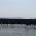 霞浦挂晒干海带