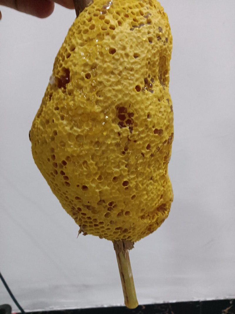 土蜂蜜