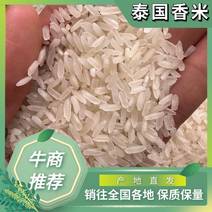 泰国香米产地直发一手货源欢迎来电咨询订购