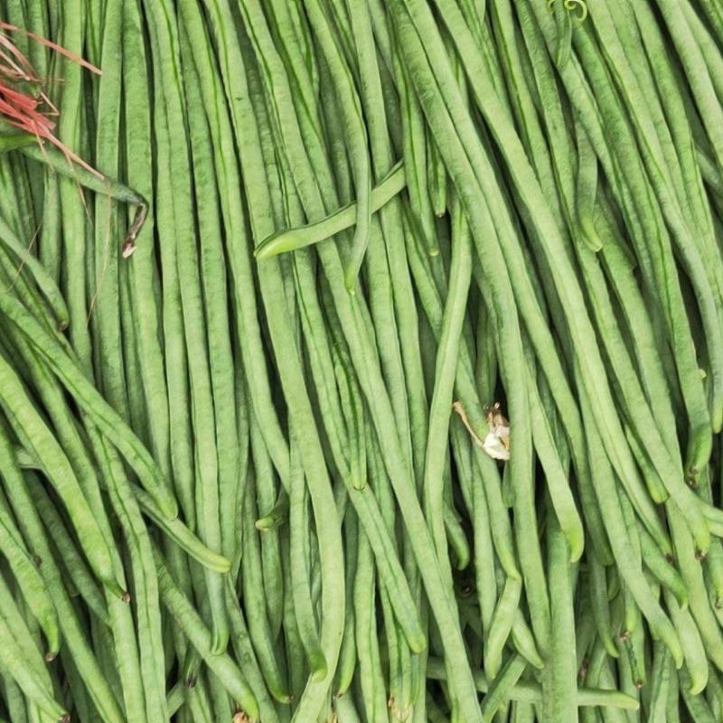 热卖中青州长豆角豆角自家种植支持视频看货量