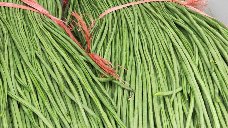 热卖中青州长豆角豆角自家种植支持视频看货量