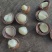 夏威夷果中果20-23mm