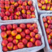 （实力供货）广西桂林黄肉油桃大量上市，欢迎客商咨询