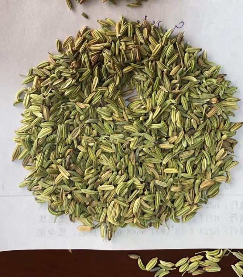 山东精品小茴香品质货源产地直发对接餐饮工厂欢迎电联