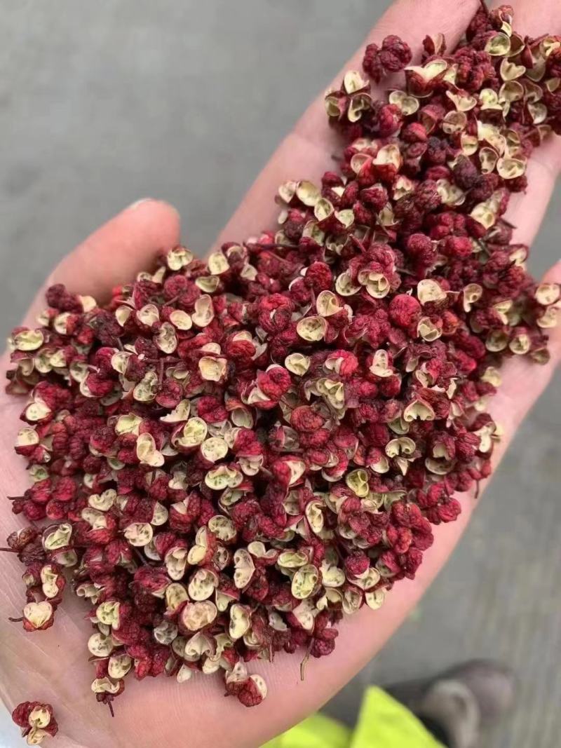 韩城花椒基地直发精品货源对接餐饮商超电商平台