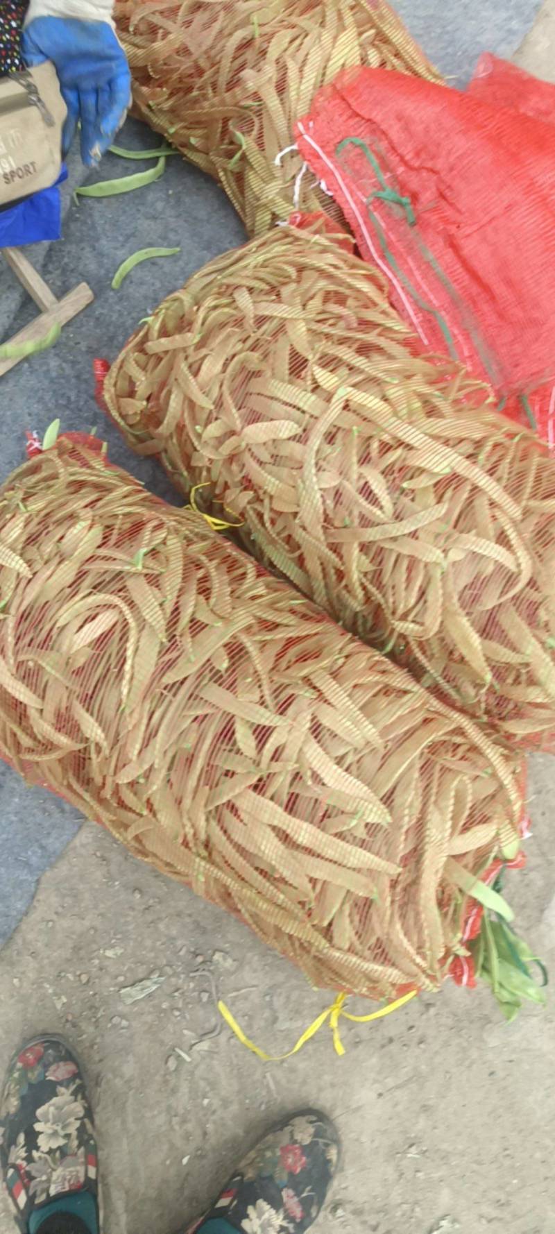 商河芸豆大量有货电商货