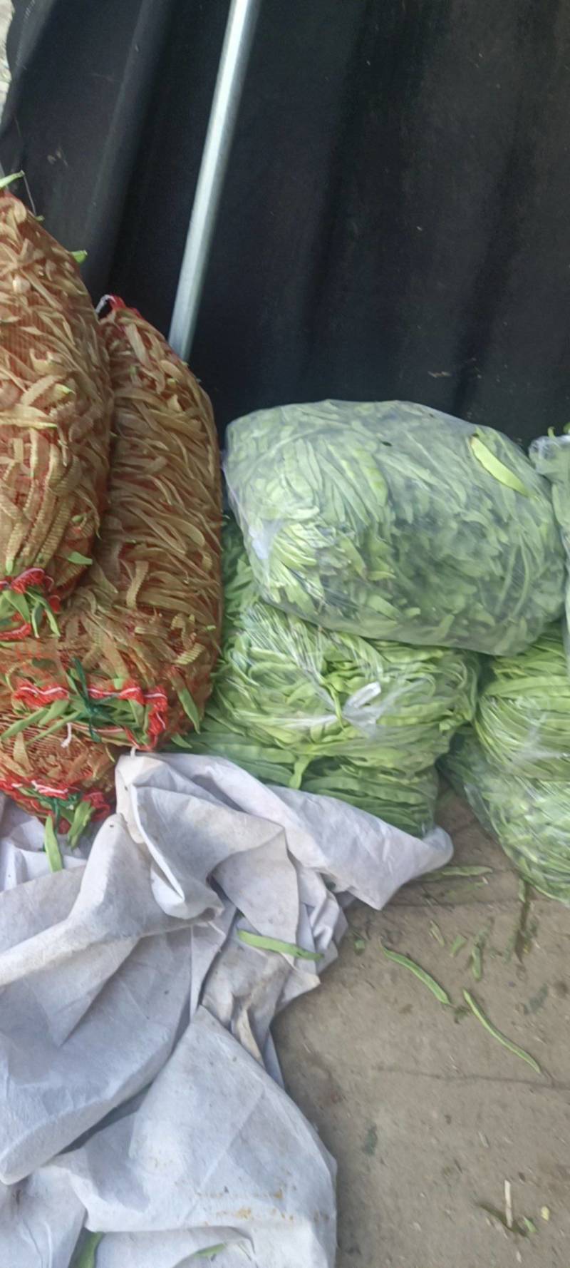 商河芸豆大量有货电商货