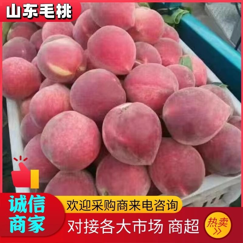 毛桃春雪毛桃突围桃早生等品种齐全全国代发