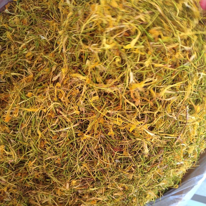 金银花中药材金银花无硫无添加批发零售各种规格