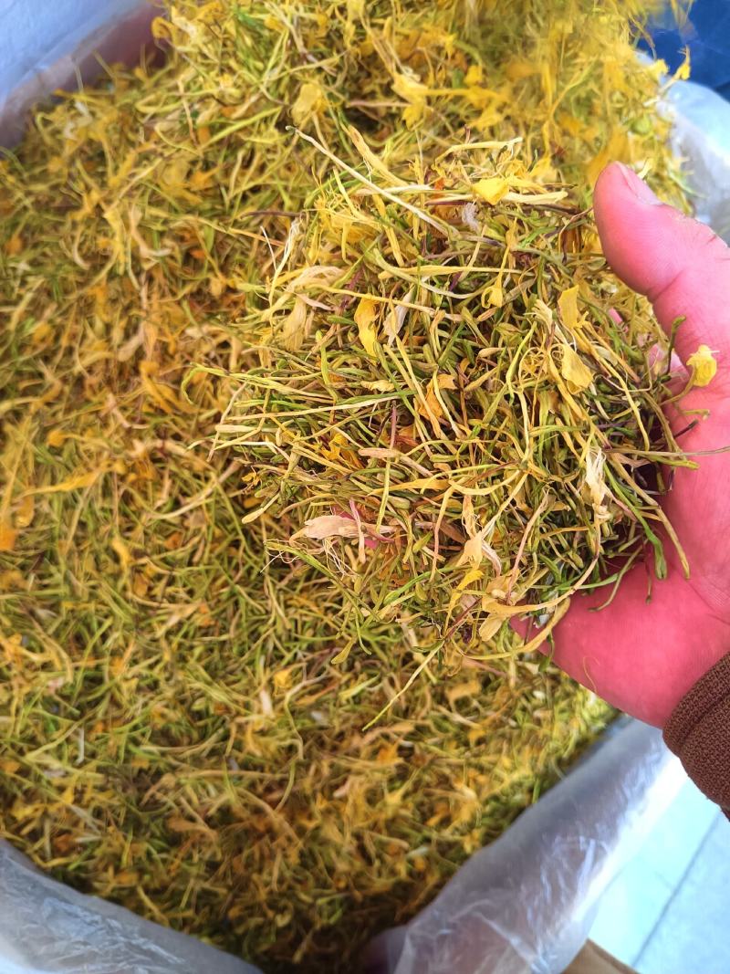 金银花中药材金银花无硫无添加批发零售各种规格