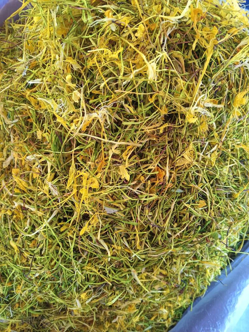 金银花中药材金银花无硫无添加批发零售各种规格