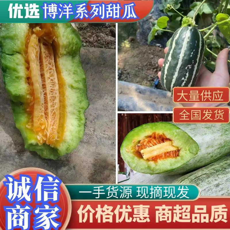 【精选】博洋甜瓜9，博洋91，博洋61可合作电商一件代