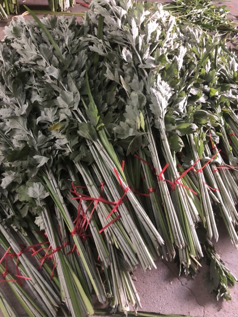 端午新鲜艾草菖蒲