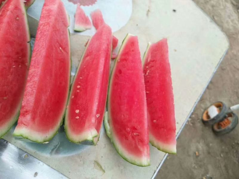 没都西瓜
