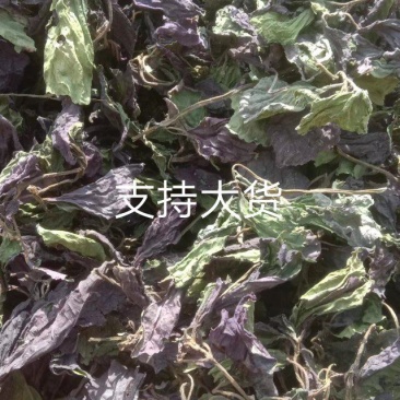 紫苏叶2023新货