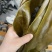 干海带皮。。一级品质。。。。。。。。。。。。。。。。。。