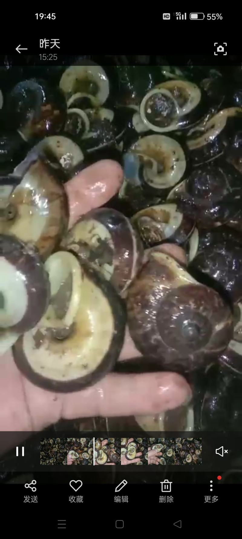 原生态蜗牛