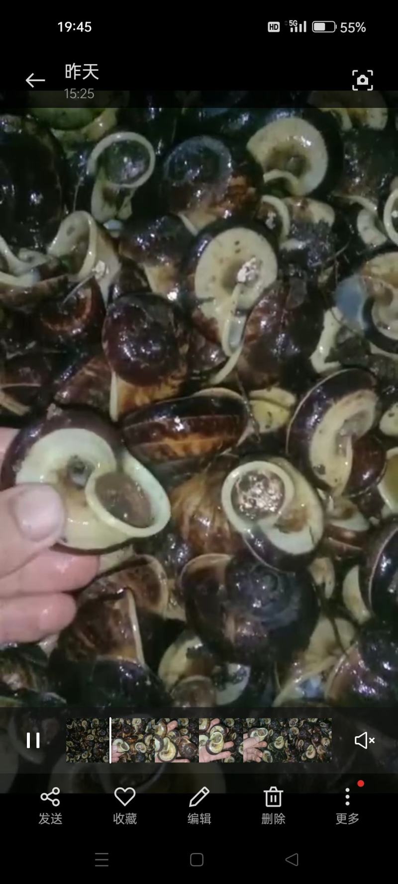 原生态蜗牛